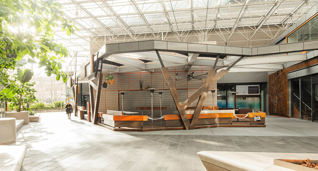 Moderna sala de estar y cafetería de la escuela de idiomas en Perth Luminosa zona de cafetería y descanso de la escuela de idiomas en Perth para estudiantes internacionales