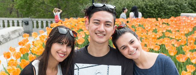 LISA-Sprachreisen-Erwachsene-Englisch-Franzoesisch-Kanada-Montreal-Park-Blumen-Sonne LISA-Sprachreisen-Erwachsene-Englisch-Franzoesisch-Kanada-Montreal-Park-Blumen-Sonne