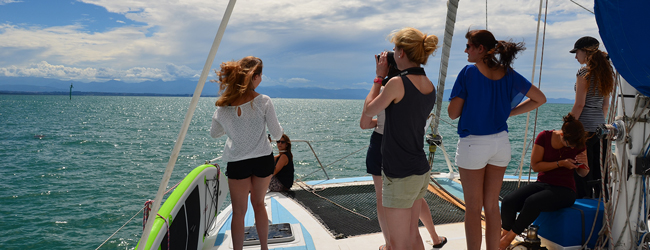 LISA-Sprachreisen-Erwachsene-Englisch-Neuseeland-Nelson-Ausflug-Yacht-Segelboot-Wale-Beobachten LISA-Sprachreisen-Erwachsene-Englisch-Neuseeland-Nelson-Ausflug-Yacht-Segelboot-Wale-Beobachten