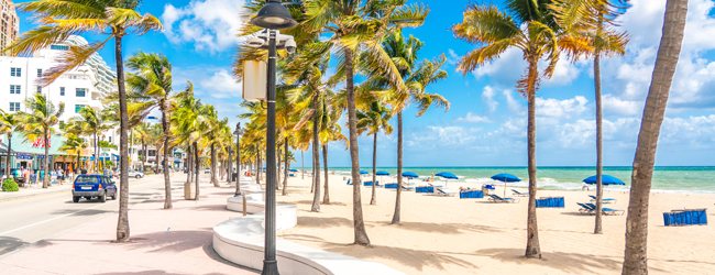 LISA-Sprachreisen-Erwachsene-Englisch-USA-Fort-Lauderdale-Palmen-Strand-Promenade-Meer LISA-Sprachreisen-Erwachsene-Englisch-USA-Fort-Lauderdale-Palmen-Strand-Promenade-Meer