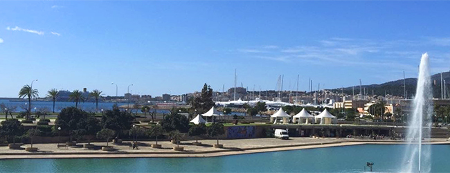 LISA-Sprachreisen-Erwachsene-Spanisch-Spanien-Palma-De-Mallorca-Stadt-Ansicht-Meer-Yachten