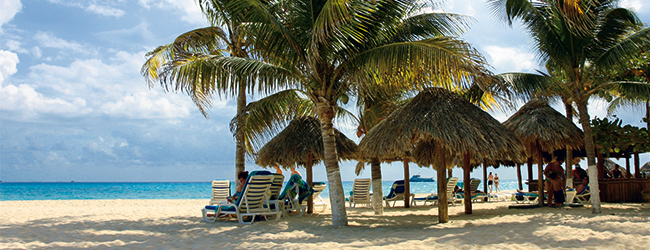 LISA-Sprachreisen-Franzoesisch-Guadeloupe-Le-Gosier-Strand-Palmen-Meer-Sandstrand-Surfen-Baden-Kueste