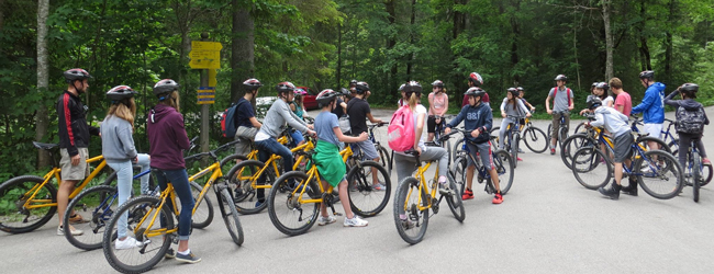 Viele Jugendliche sitzen auf einem Mountainbike im Wald in Bayern bei einer Sprachreise