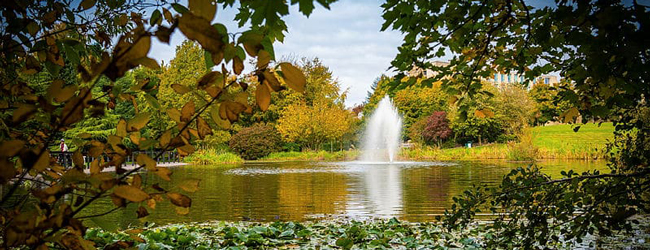 See im Park der Bath Univerität Blick auf einen See mit Wasserfontäne und Bäumen im Park der Universtät in Bath