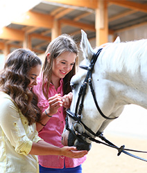 LISA-Sprachreisen-Schueler-Englisch-Wycliffe-England-College-Pferde-Reiten-Sportprogramm-Freizeit-Betreuung