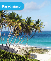 LISA-viajes-idiomas-ingles-Barbados-mar-playa-caribe-paradisiaco