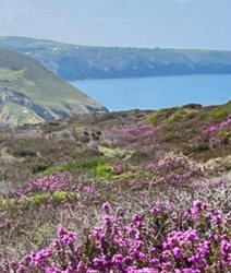 Cornualles – St Agnes